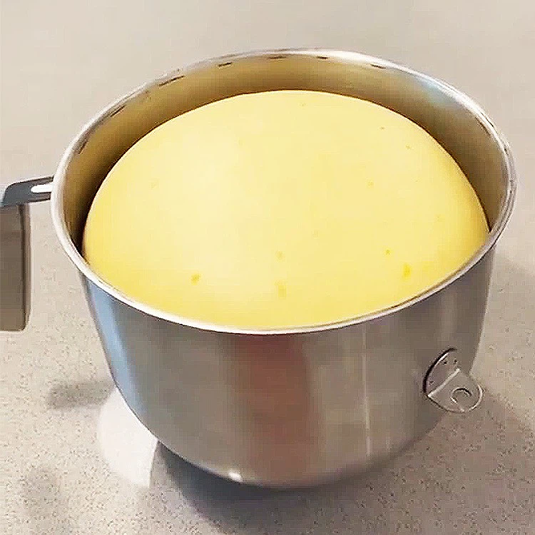 yeast for bakery 2 in 1