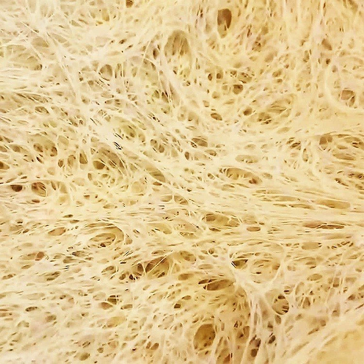 yeast 2in1