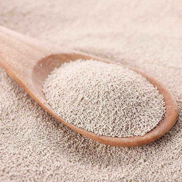 plain bread yeast
